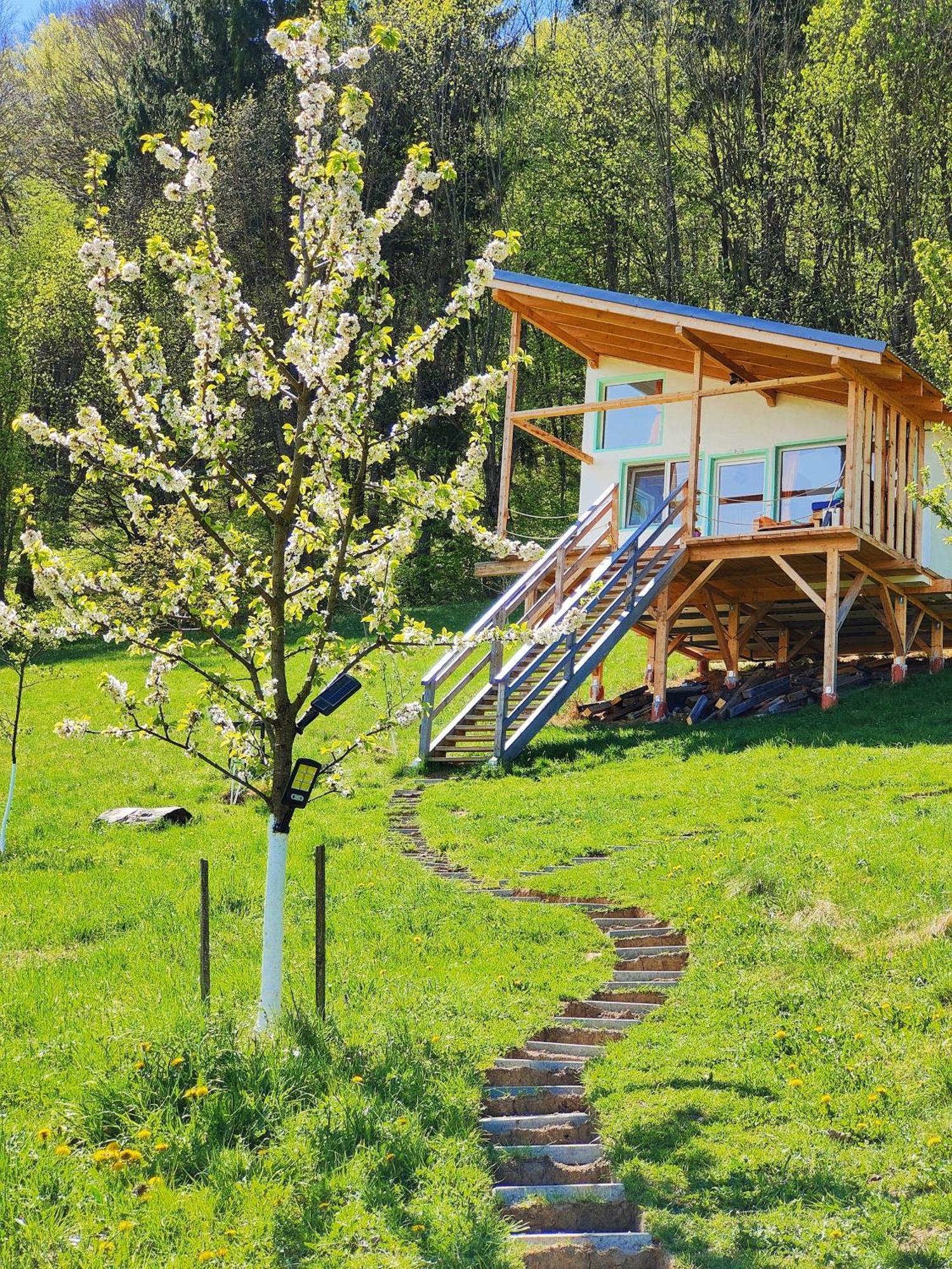 Rainbow Chalet Bran  Exterior photo